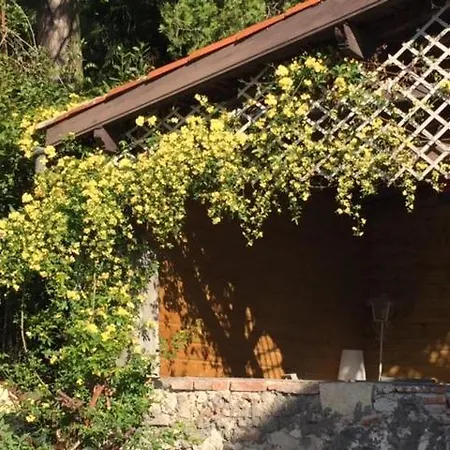 Saint Vincent אז'ן