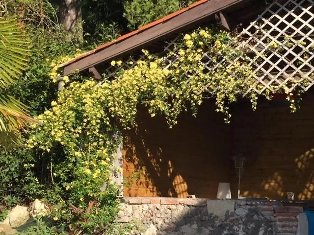 Saint Vincent אז'ן